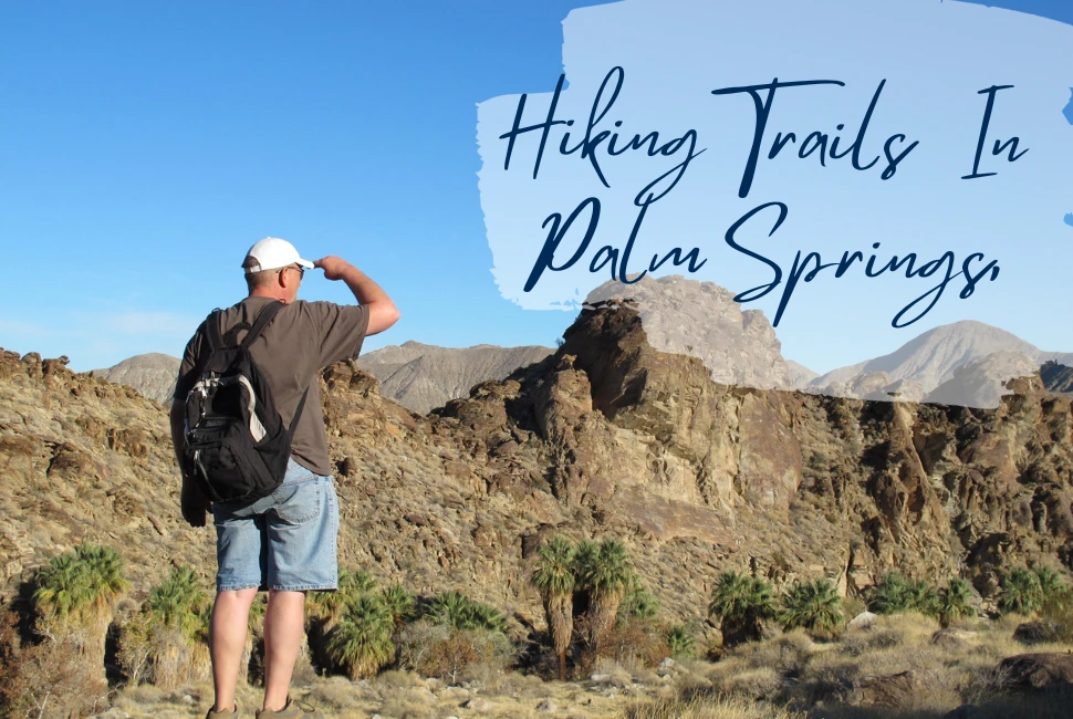 Best 7 Hiking Trails in Palm Springs