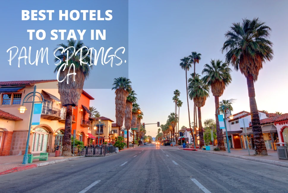 Top 7 Hotels in Palm Springs CA