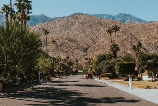Escape the City: Exciting Road Trips from Palm Springs, CA