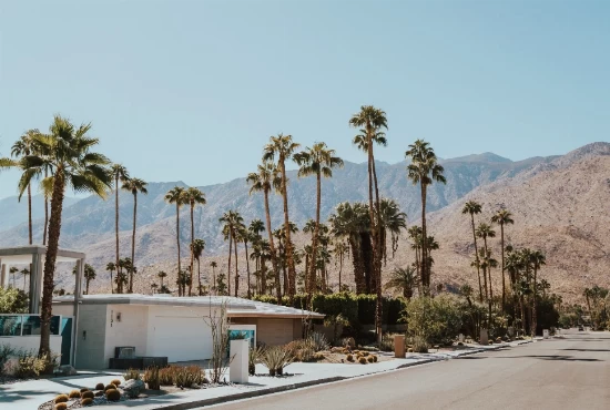 Palm Springs, CA: The Ultimate Guide to the Desert Oasis and Its Mesmerizing Weather